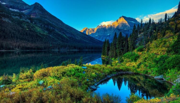 سری چهل و پنجم والپیپر های طبیعت   Nature Wallpapers