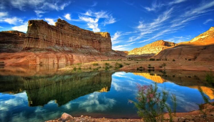 سری چهل و پنجم والپیپر های طبیعت   Nature Wallpapers