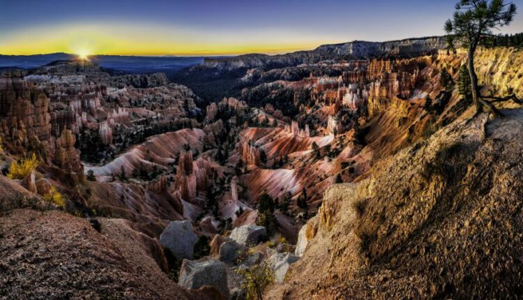 سری چهل و پنجم والپیپر های طبیعت   Nature Wallpapers