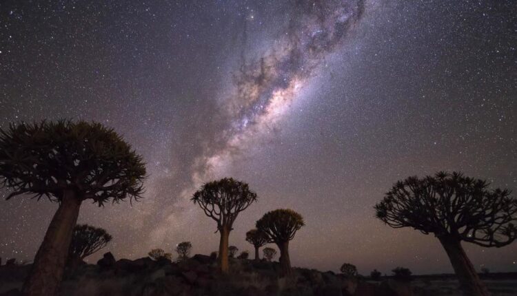 سری چهل و پنجم والپیپر های طبیعت   Nature Wallpapers