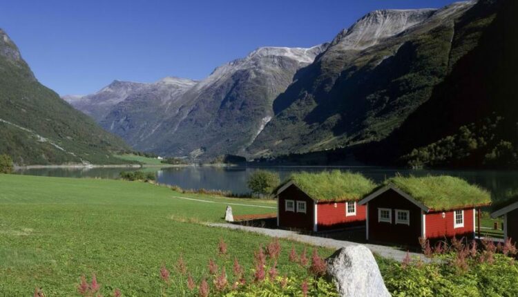 سری چهل و پنجم والپیپر های طبیعت   Nature Wallpapers