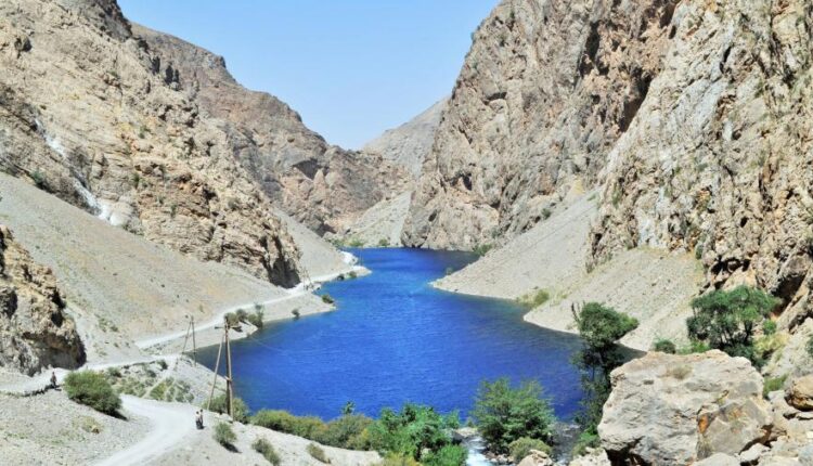 سری چهل و پنجم والپیپر های طبیعت   Nature Wallpapers