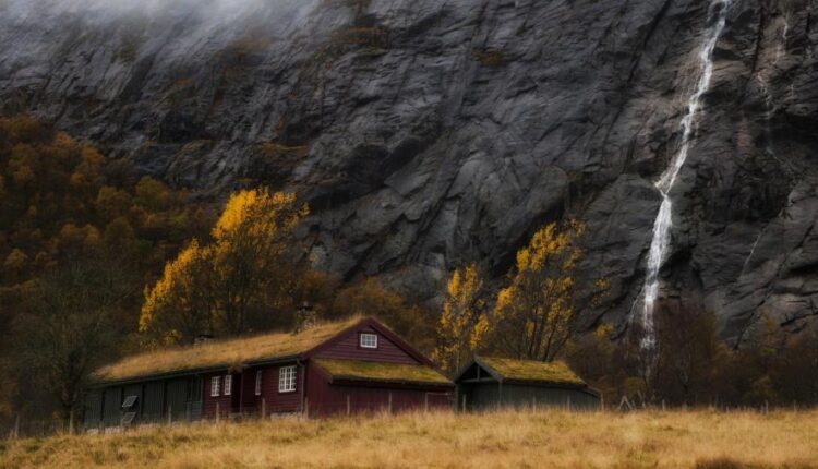 سری چهل و پنجم والپیپر های طبیعت   Nature Wallpapers