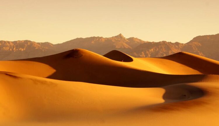 سری چهل و پنجم والپیپر های طبیعت   Nature Wallpapers