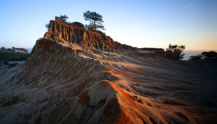 سری چهل و پنجم والپیپر های طبیعت   Nature Wallpapers