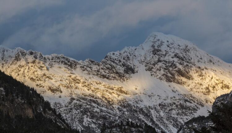 سری چهل و پنجم والپیپر های طبیعت   Nature Wallpapers