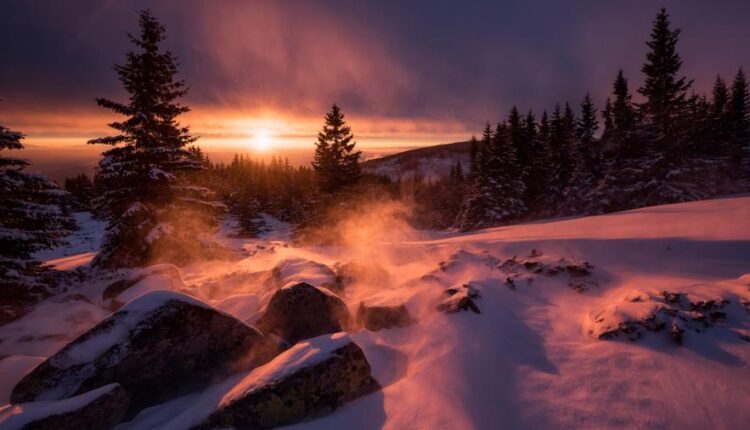 سری چهل و پنجم والپیپر های طبیعت   Nature Wallpapers