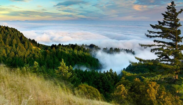 سری چهل و پنجم والپیپر های طبیعت   Nature Wallpapers