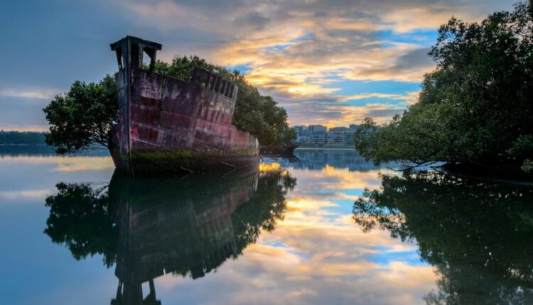 سری سی و هفتم عکس زمینه های طبیعت   Nature Wallpapers