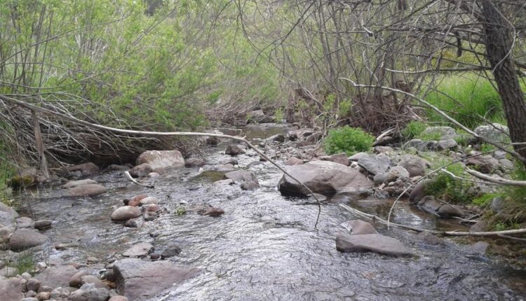 سری سی و هفتم عکس زمینه های طبیعت   Nature Wallpapers