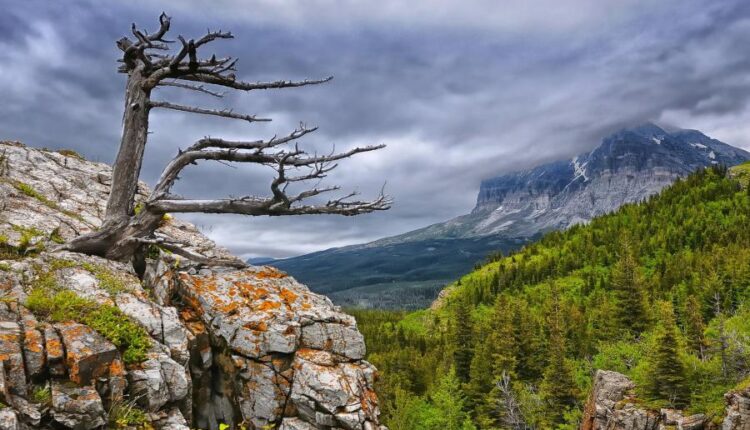 سری سی و هفتم عکس زمینه های طبیعت   Nature Wallpapers