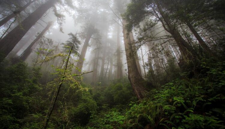 سری سی و هفتم عکس زمینه های طبیعت   Nature Wallpapers