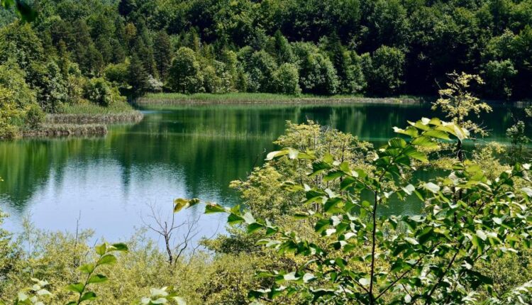 سری سی و هفتم عکس زمینه های طبیعت   Nature Wallpapers