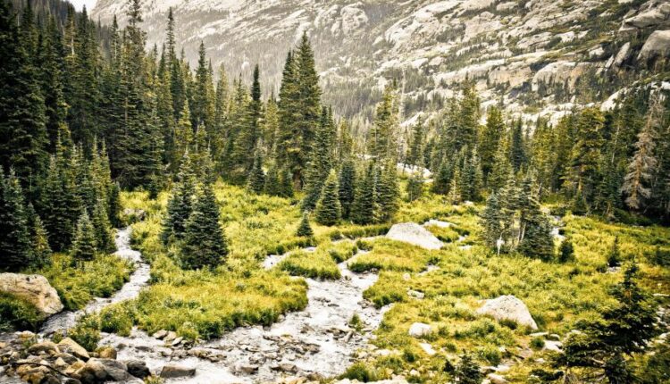 سری سی و هفتم عکس زمینه های طبیعت   Nature Wallpapers