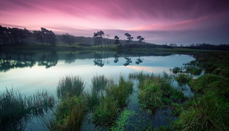 سری سی و هفتم عکس زمینه های طبیعت   Nature Wallpapers