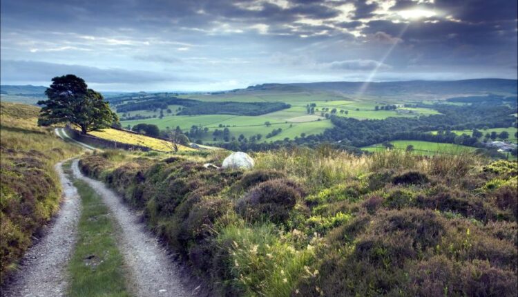 سری سی و هفتم عکس زمینه های طبیعت   Nature Wallpapers