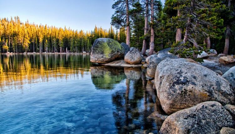 سری سی و هفتم عکس زمینه های طبیعت   Nature Wallpapers