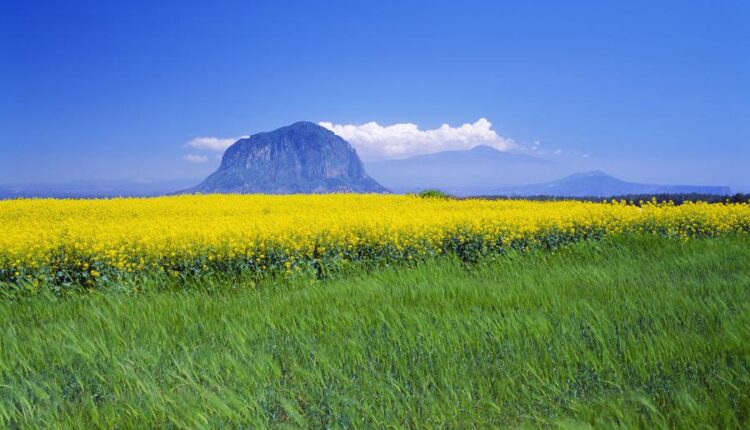 سری سی و هفتم عکس زمینه های طبیعت   Nature Wallpapers