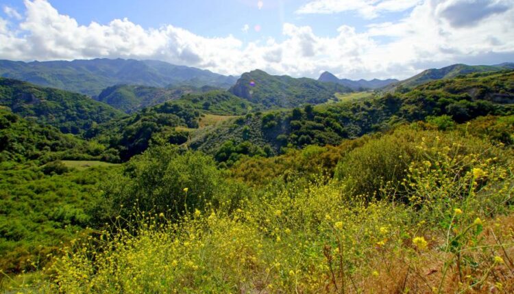 سری سی و هفتم عکس زمینه های طبیعت   Nature Wallpapers