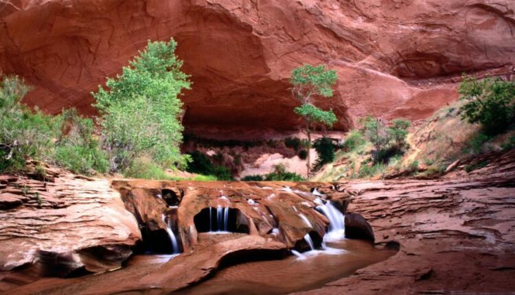 سری سی و هفتم عکس زمینه های طبیعت   Nature Wallpapers