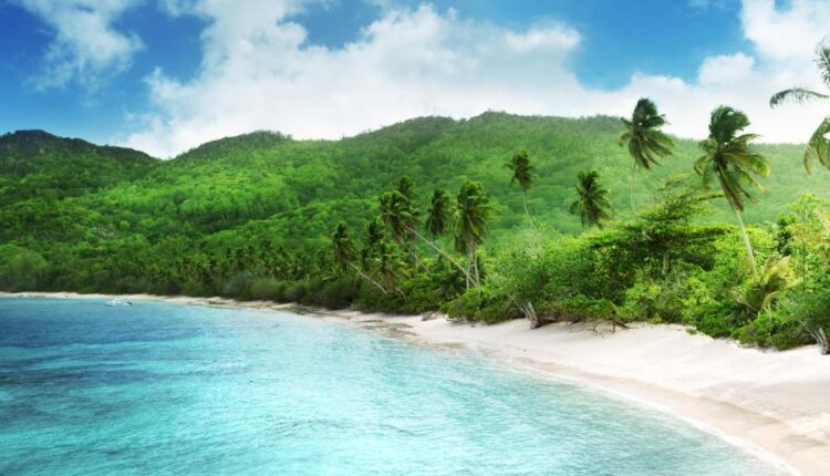 سری سی و هفتم عکس زمینه های طبیعت   Nature Wallpapers