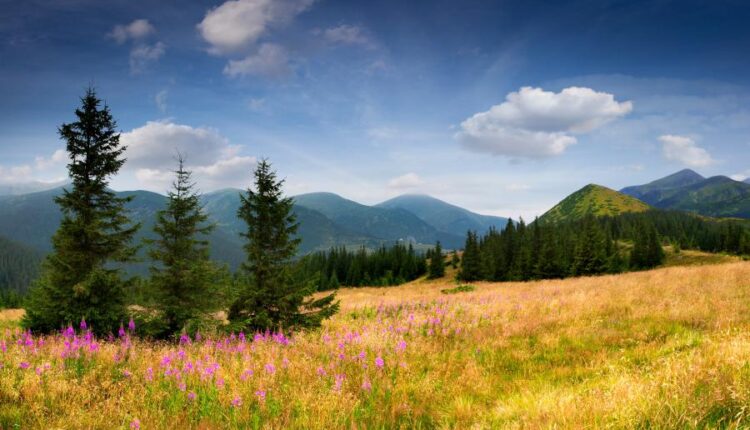 سری سی و هفتم عکس زمینه های طبیعت   Nature Wallpapers