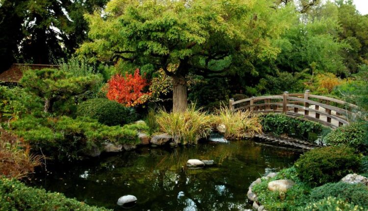 سری سی و هفتم عکس زمینه های طبیعت   Nature Wallpapers