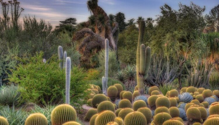 سری سی و هفتم عکس زمینه های طبیعت   Nature Wallpapers