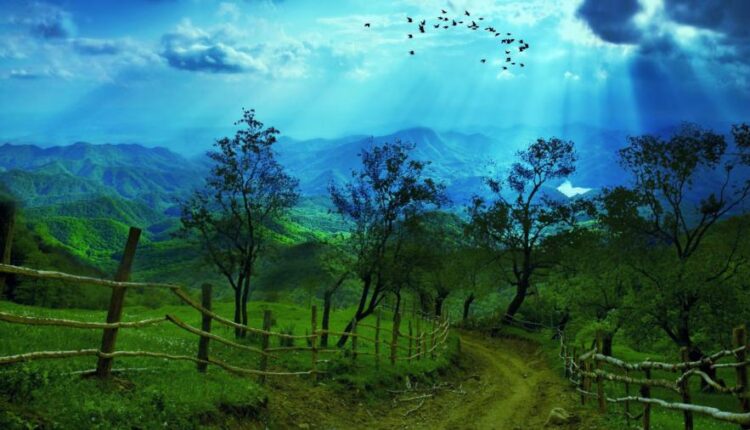 سری سی و هفتم عکس زمینه های طبیعت   Nature Wallpapers