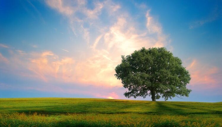 سری سی و هفتم عکس زمینه های طبیعت   Nature Wallpapers