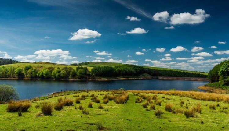 سری سی و هفتم عکس زمینه های طبیعت   Nature Wallpapers