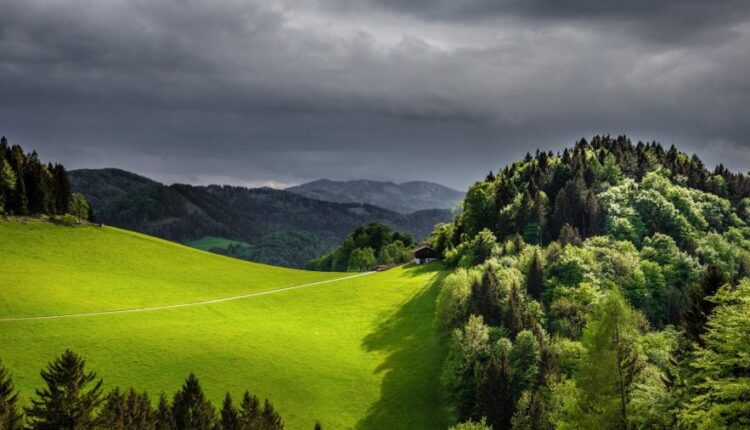 سری سی و هفتم عکس زمینه های طبیعت   Nature Wallpapers