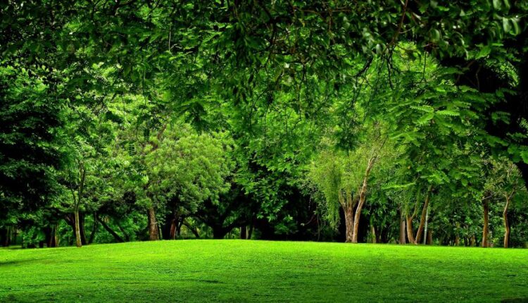 سری سی و هفتم عکس زمینه های طبیعت   Nature Wallpapers