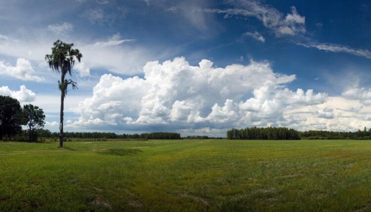 سری سی و هفتم عکس زمینه های طبیعت   Nature Wallpapers