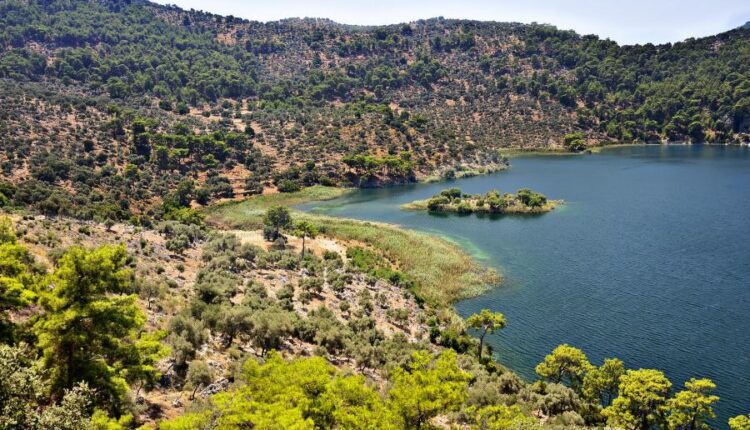 سری سی و هفتم عکس زمینه های طبیعت   Nature Wallpapers