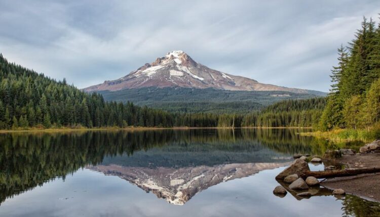 سری سی و نهم بک گراند های طبیعت   Nature Wallpapers