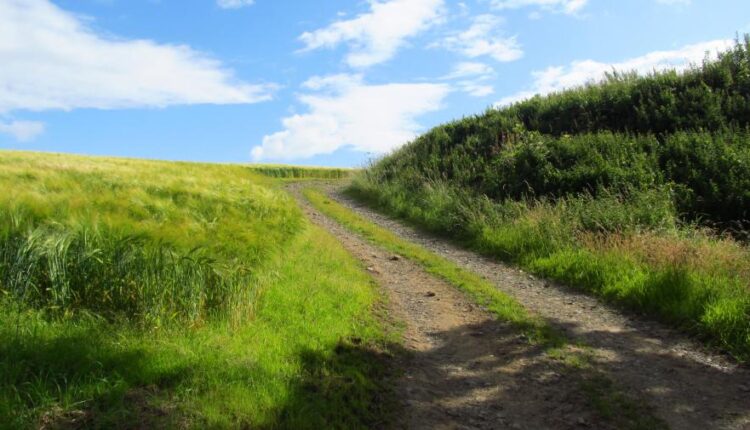 سری سی و نهم بک گراند های طبیعت   Nature Wallpapers