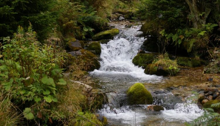 سری سی و نهم بک گراند های طبیعت   Nature Wallpapers