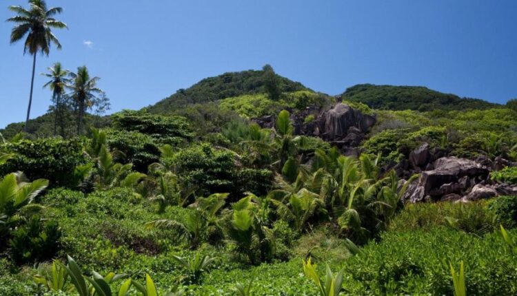 سری سی و نهم بک گراند های طبیعت   Nature Wallpapers