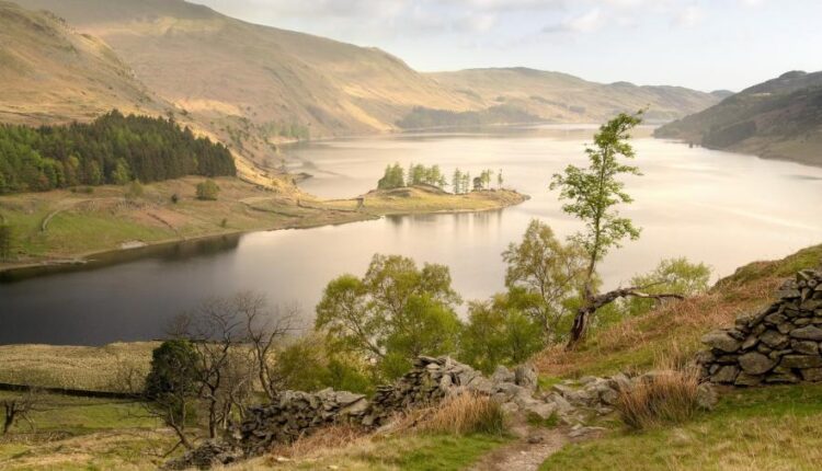 سری سی و نهم بک گراند های طبیعت   Nature Wallpapers