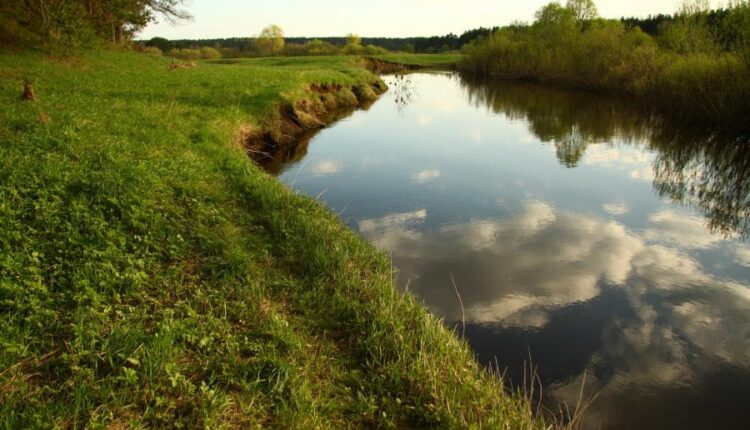 سری سی و نهم بک گراند های طبیعت   Nature Wallpapers