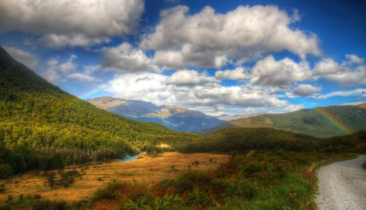 سری سی و نهم بک گراند های طبیعت   Nature Wallpapers