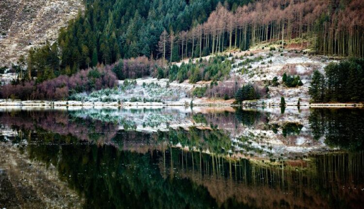 سری سی و نهم بک گراند های طبیعت   Nature Wallpapers