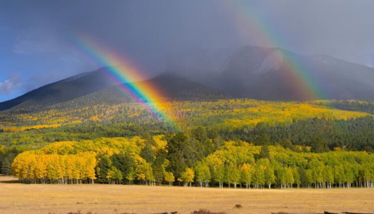 سری سی و نهم بک گراند های طبیعت   Nature Wallpapers