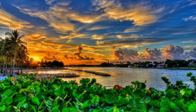 سری سی و نهم بک گراند های طبیعت   Nature Wallpapers