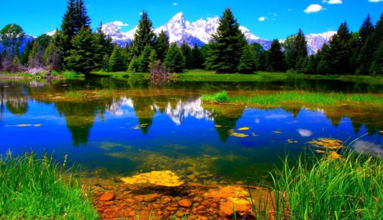 سری سی و نهم بک گراند های طبیعت   Nature Wallpapers