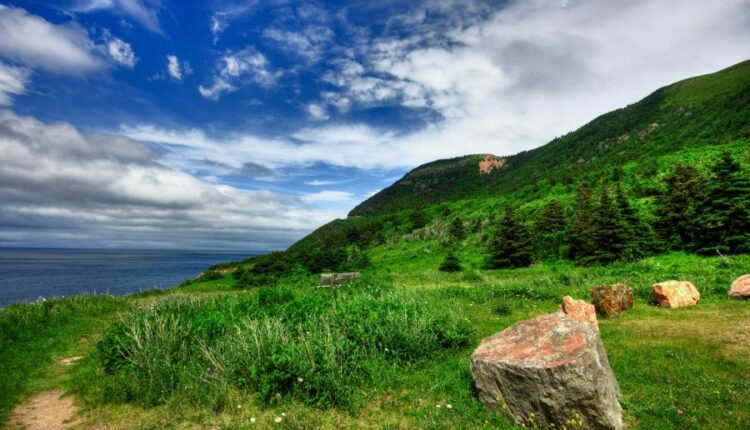 سری سی و نهم بک گراند های طبیعت   Nature Wallpapers