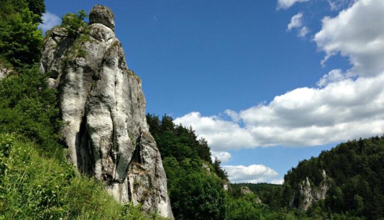 سری سی و نهم بک گراند های طبیعت   Nature Wallpapers