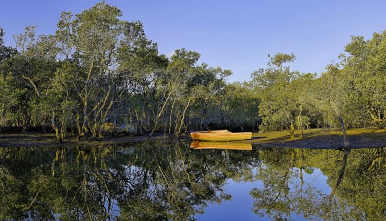 سری سی و نهم بک گراند های طبیعت   Nature Wallpapers