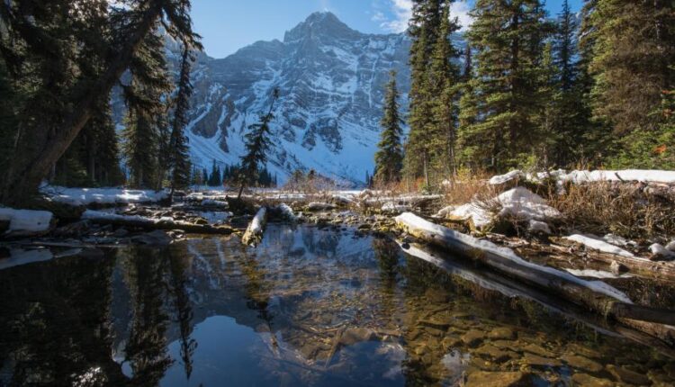 سری سی و نهم بک گراند های طبیعت   Nature Wallpapers